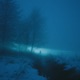 lost frequency Single