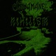 NIHILISM Sped Up Single