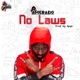 No Laws Single