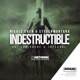 Indestructible feat Cubixrube 1NTEGRAL Single
