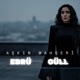 Aşkin Mahşeri Single