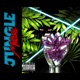 Jungle Music