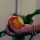 Bitten Apple Single