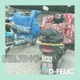Beijing Single