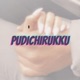 Pudichirukku Reprise Single