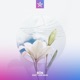 Don t Look Back Single