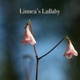Linnea s Lullaby Single