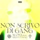 Non Scrivo Di Gang feat Riki El Flacko Single