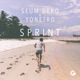 Sprint Single