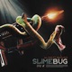 Slime Bug feat Big Flock Single