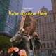 Kitne Bechain Hain feat Shivkumar Bilagrami Alvin Presley Namratha Single