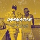 Dammila Tune Damme la Tune feat L P Aka Grizzly Tzuflow Single
