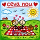 Ceva Nou Single