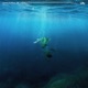 Drown Single