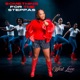 Something For The Steppas Single
