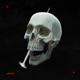 Never Slow Down Terror Single