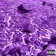 Island feat Justy Single