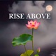 Rise Above Single