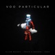 Vôo Particular Single