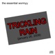 Trickling Rain feat Jelly Patrick January 26 2008 Single