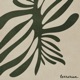 Verdant Single