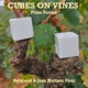 Cubes On Vines Piano Version Single