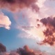 this sucks feat Aleena remix Single
