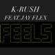 FEELS feat JAY FLEX Single