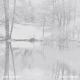 Lake Themes