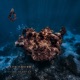 Fickle Heart feat Coulson EP
