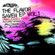 The Flavor Saver EP Vol 1 Unreleased Remixes