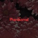 Phantasmal Single