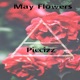 May Flowers Single