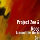 Around the World Girl feat Kele La Roc Single