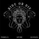 Ride or Die feat Afusic Ali Raza Single