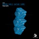 Polar Lights Single