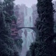Rain feat Dement Pipo Martinez Single