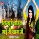 Nimbude Todan Gayi Ri Baag Mein Single