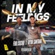 IN MY FEELINGS feat Foolish300 Tayda Santana K Water Tayda Santana daWoogDr AmineSkkrt Single