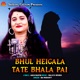 Bhul Heigala Tate Bhalapai Single