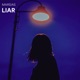 Liar Single