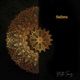 Sahra Arabic Violin Single