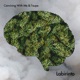 Labirinto Single