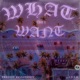 WHAT THEY WANT feat 1 9 9 9 Single
