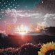 Seu Sol feat Wissz Single