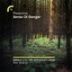 Sense of Danger Remixes feat Shara Nelson