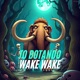 MTG TO BOTANDO X WAKE WAKE feat MC MASCARA Single