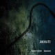 Animate Special Edition