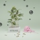 Kitsune Single