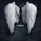 If I could Fly feat Rukus Single